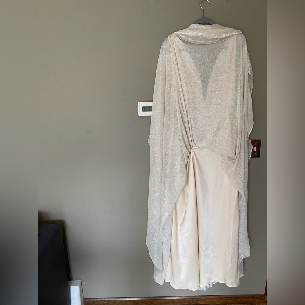 NWT BHLDN x JENNY YOO •RARE• Carmen Shimmer Maxi Dress Size 6 - Picture 12 of 16